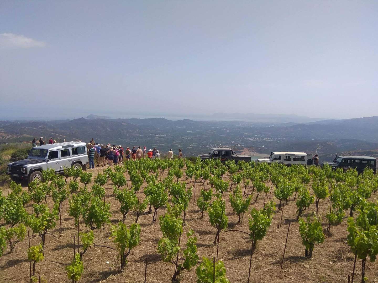 WHITE MOUNTAINSJPG 2